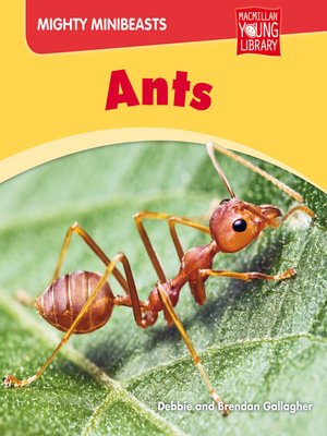 cover image of Ants